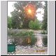 Mt Beauty Caravan Park - Sun with Smoke Haze.jpg